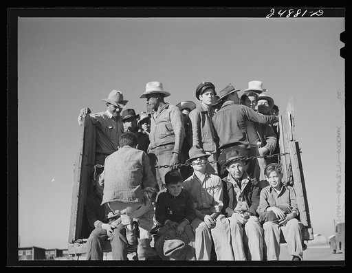 Migratory workers returning from day's work. Robstown camp, Texas