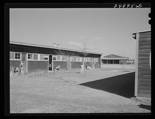 Row shelter with community building in background. Robstown FSA (Farm Security Administration) camp, Texas