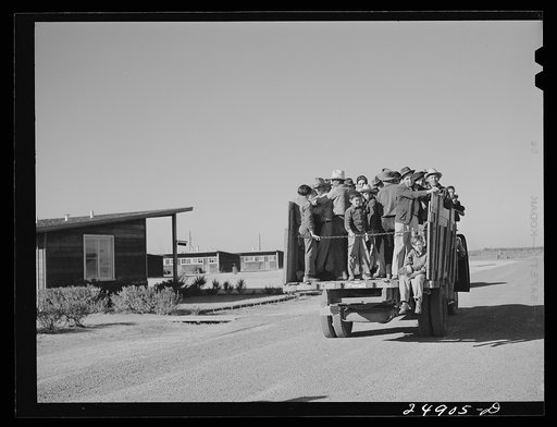 Migratory workers returning from day's work. Robstown FSA (Farm Security Administration) camp, Texas