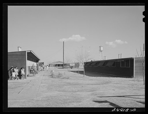 Robstown, Texas. FSA (Farm Security Administration) migratory workers camp