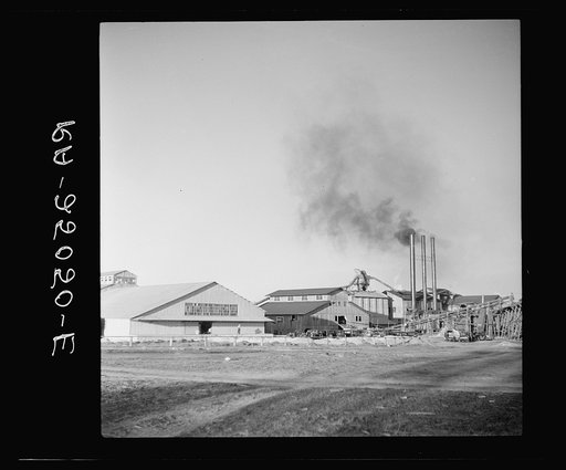 A large lumber mill at Lacoochee, Florida. Surrounding forests have been ruthlessly cut down