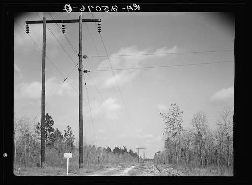 Truck trail and fire break on Withlacoochee Land Use Project, Florida