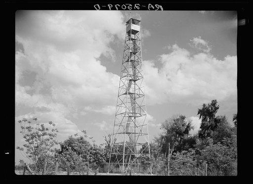 Tower used for detecting forest fires on resettlement project. Withlacoochee Land Use Project, Florida