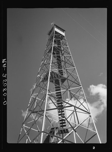 Tower used for detecting forest fires on resettlement project. Withlacoochee Land Use Project, Florida