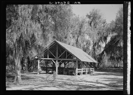 Picnic tables on shores of McKethan Lake. Withlacoochee Land Use Project, Florida