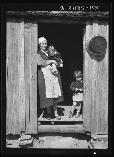 Mandy Handley, wife of tenant farmer. Walker County, Alabama