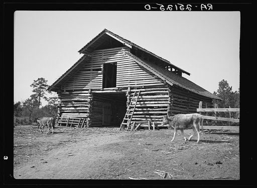 Barn on tenant's farm. Walker County, Alabama
