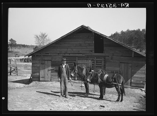 Joe Handley at his barn. Walker County, Alabama