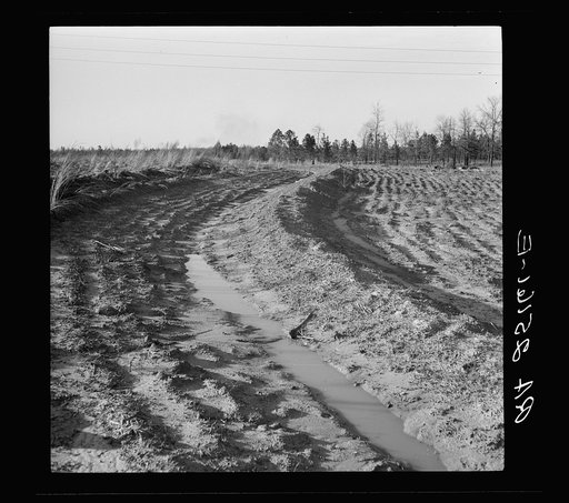 Terrace. Bankhead Farms, Alabama