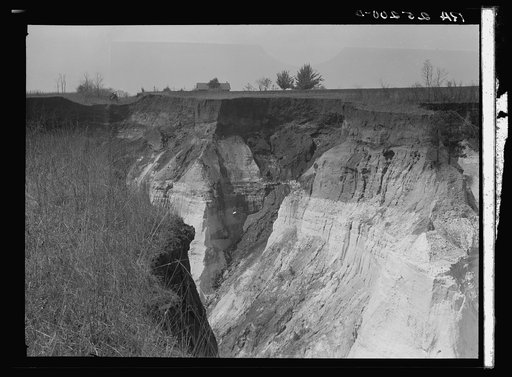 Untitled photo, possibly related to: Erosion. Stewart County, Georgia
