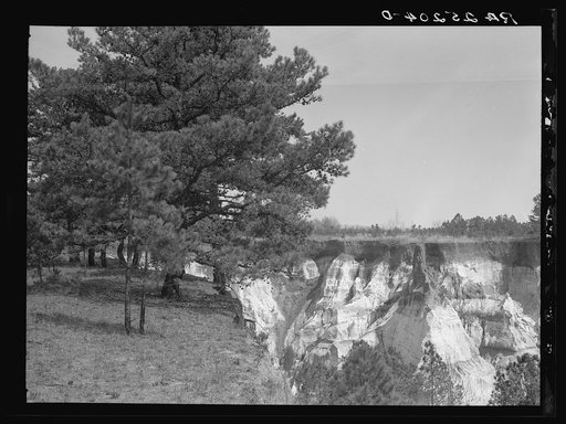 Untitled photo, possibly related to: Erosion. Stewart County, Georgia