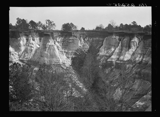 Untitled photo, possibly related to: Erosion. Stewart County, Georgia