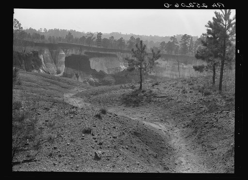 Erosion. Stewart County, Georgia