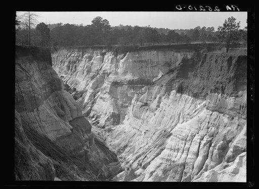Untitled photo, possibly related to: Erosion. Stewart County, Georgia