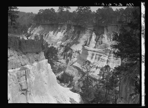 Untitled photo, possibly related to: Erosion. Stewart County, Georgia