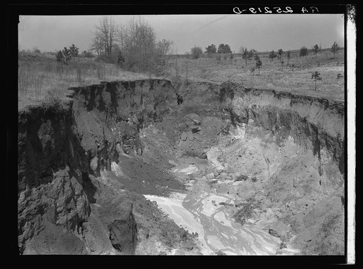 Erosion. Stewart County, Georgia