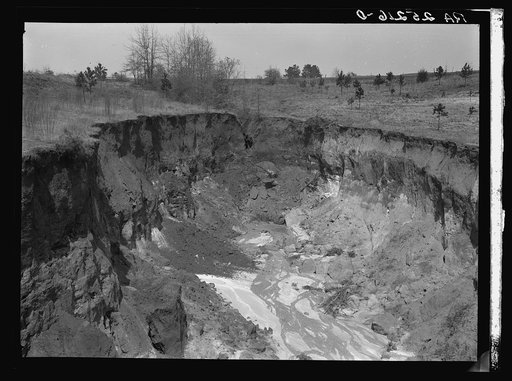 Untitled photo, possibly related to: Erosion. Stewart County, Georgia