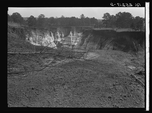Untitled photo, possibly related to: Erosion. Stewart County, Georgia