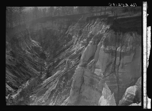 Untitled photo, possibly related to: Erosion. Stewart County, Georgia