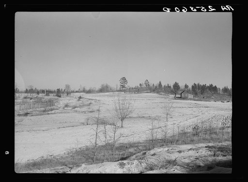 Cultivated land at Gees Bend, Alabama