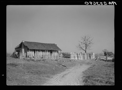 Cabin on the Pettway Plantation. Gees Bend, Alabama