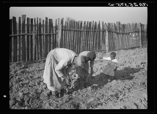 Working in the garden. Gees Bend, Alabama