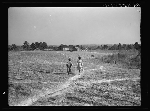 Footpaths across the field connect the cabins. Gees Bend, Alabama