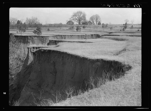 Erosion. Cotton was grown on this field until twenty-five years ago. Note terraces. Chilton County, Alabama