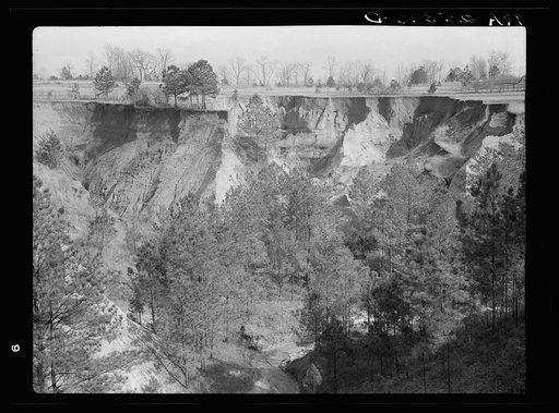 Untitled photo, possibly related to: Erosion. Cotton was grown on this field twenty-five years ago. Chilton County, Alabama