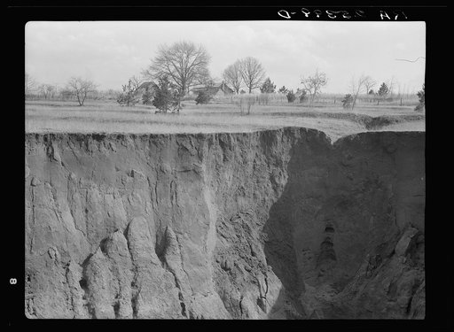 Erosion. Cotton was grown on this field twenty-five years ago. Chilton County, Alabama