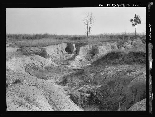 Gully erosion by check dam. Macon County, Alabama. Tuskegee Project