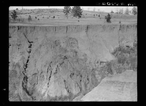 Untitled photo, possibly related to: Erosion. Cotton was grown on this field twenty-five years ago. Chilton County, Alabama