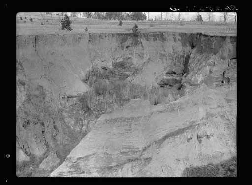 Untitled photo, possibly related to: Erosion. Cotton was grown on this field twenty-five years ago. Chilton County, Alabama