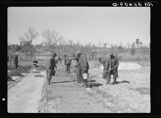 Work on reforestation project. Tuskegee Project, Macon County, Alabama