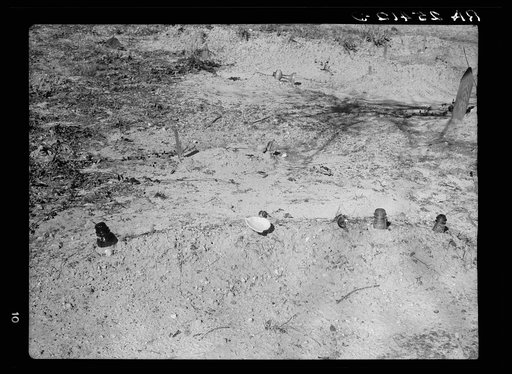 Untitled photo, possibly related to: Negroes' graveyard. Macon County, Alabama