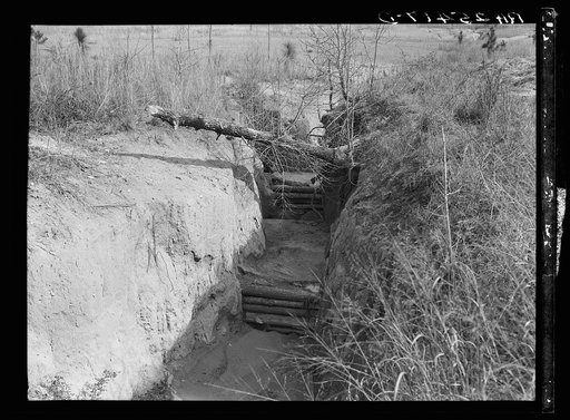 Erosion control. Tuskegee Project, Macon County, Alabama