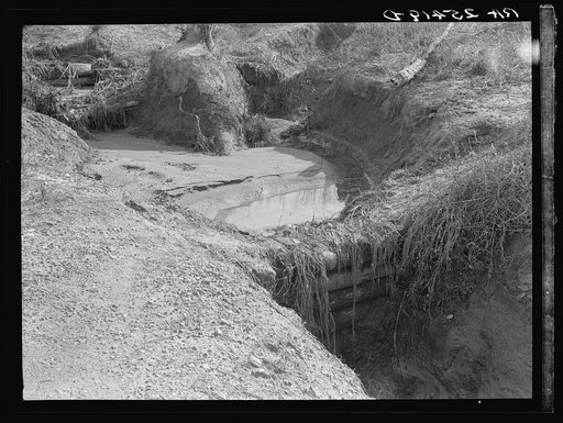 Gully erosion controlled by check dams. Tuskegee Project, Macon County, Alabama