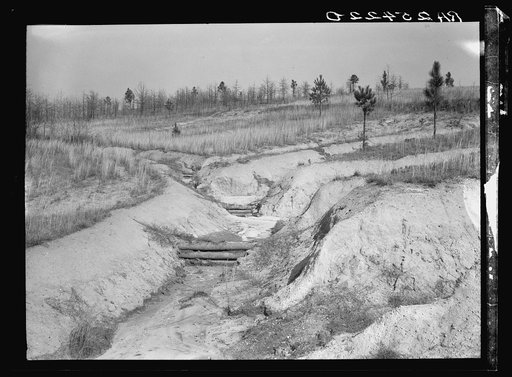 Untitled photo, possibly related to: Dam to control erosion. Tuskegee Project, Macon County, Alabama