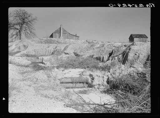 Untitled photo, possibly related to: Erosion. Macon County, Alabama