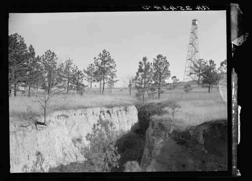Erosion on land use project. Macon County, Alabama. Tuskegee Project