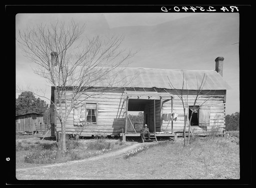 Dog-run house inhabited by a Negro tenant farmer. Montgomery County, Alabama