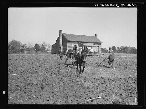 Tenant farmers plowing cooperatively. Macon County, Alabama