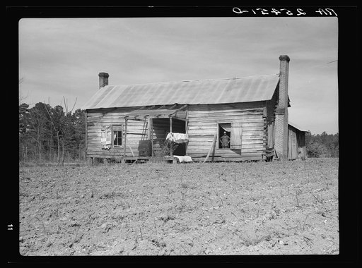 Dog-run house inhabited by Negro tenant farmer. Montgomery County, Alabama