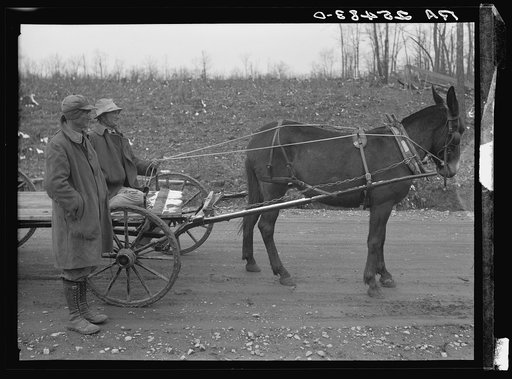 Farmers at Skyline Farms, Jackson County, Alabama