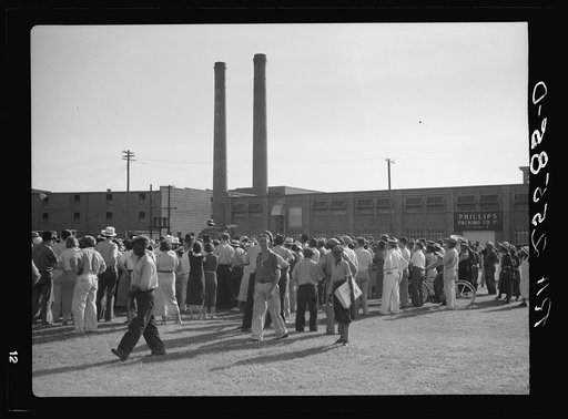 Packing company strike. Cambridge, Maryland