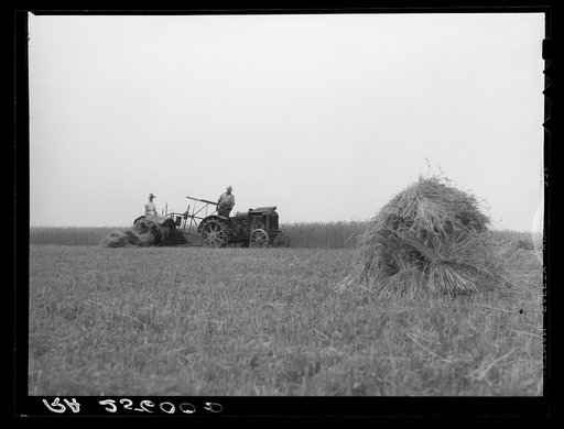 Untitled photo, possibly related to: Harvesting wheat. Queen Anne County, Maryland