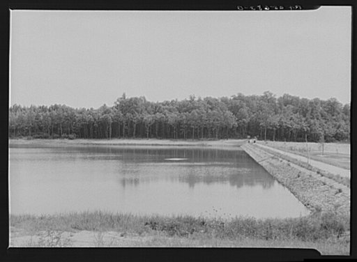 The lake at Greenbelt, Maryland