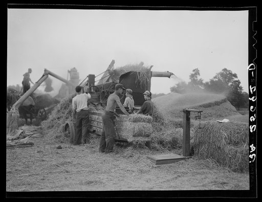 Untitled photo, possibly related to: Threshing wheat. Frederick County, Maryland