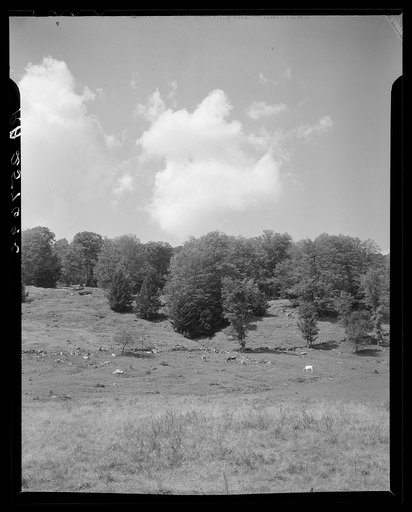 Farm scene. Orange County, Vermont