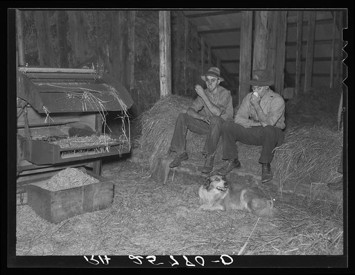 Rest during threshing. Caledonia County, Vermont